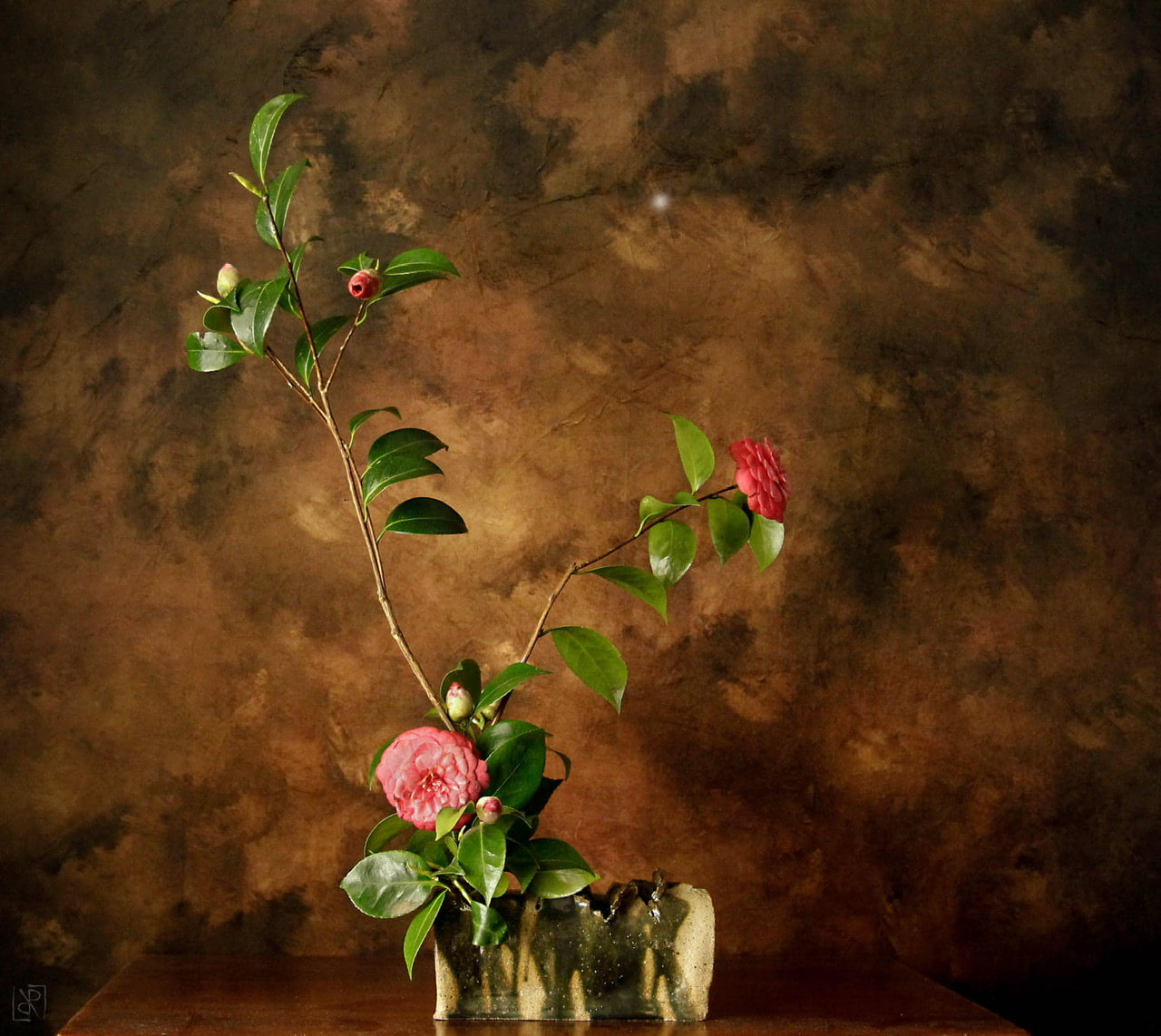 TAKUMI lifestyle | avvicinarsi all’ikebana