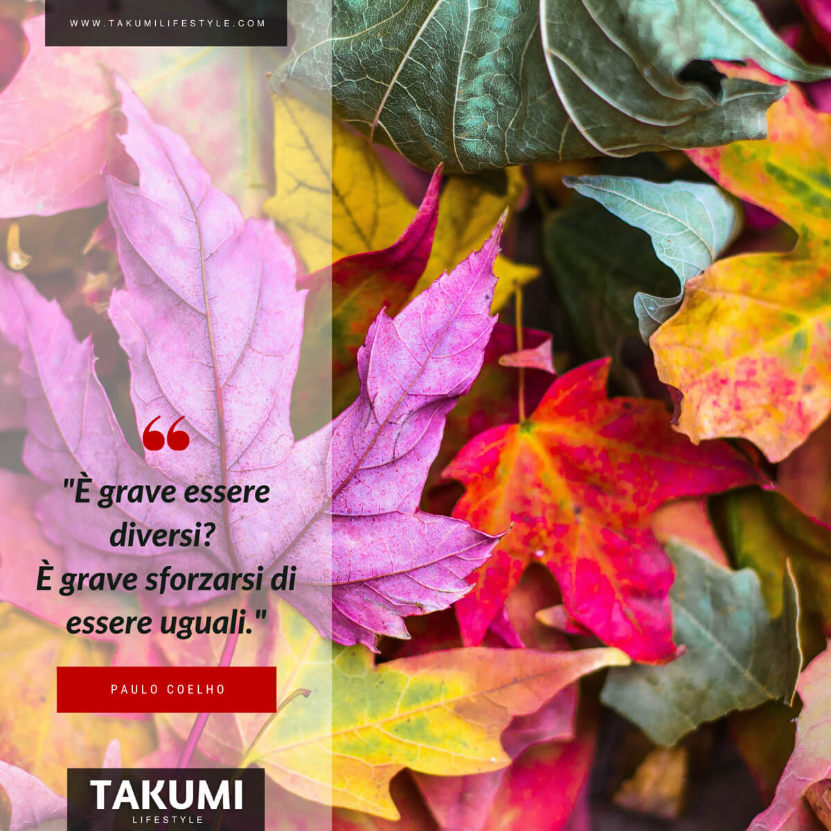 TAKUMI lifestyle | Quote14