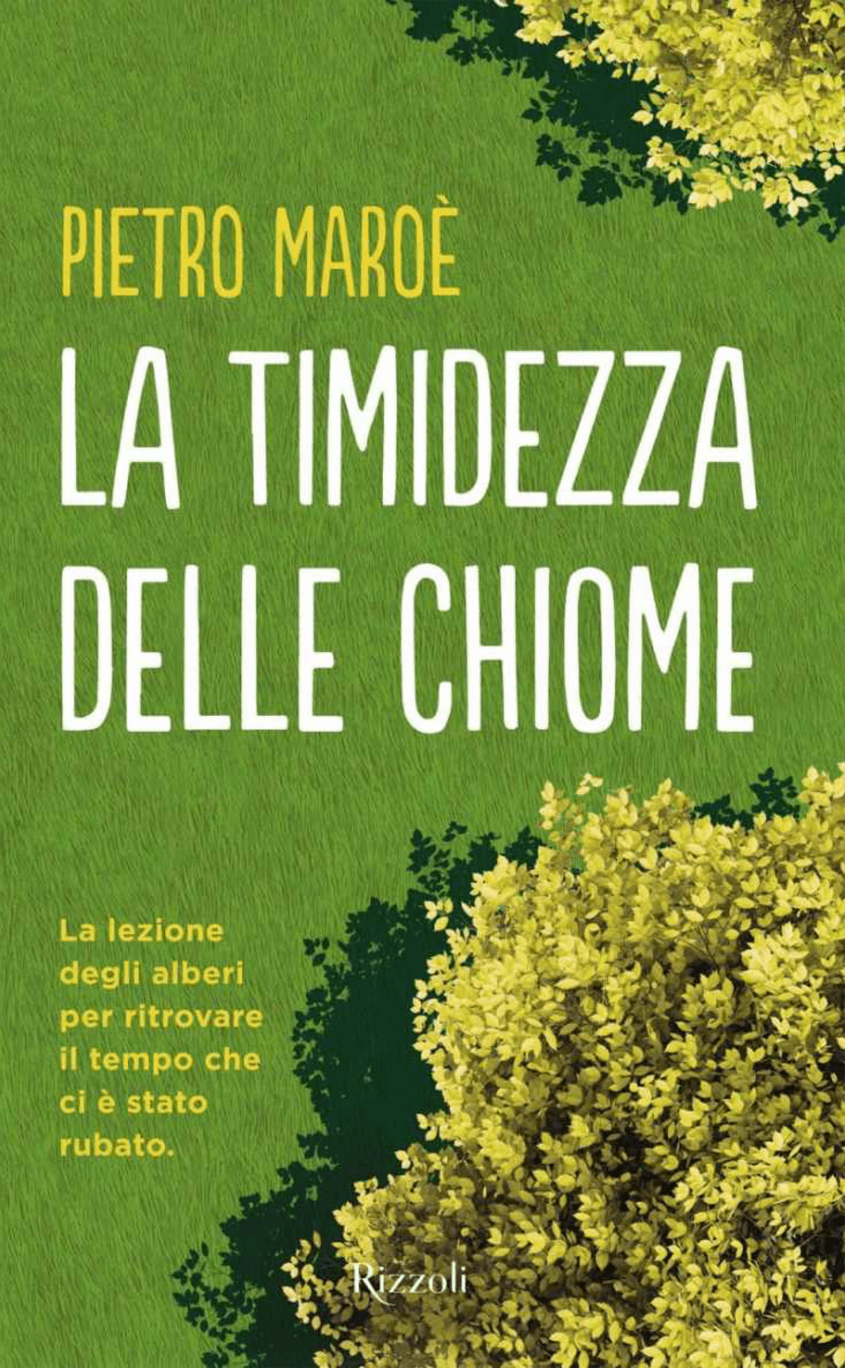 TAKUMI lifestyle - la timidezza delle chiome - Pietro Maroè