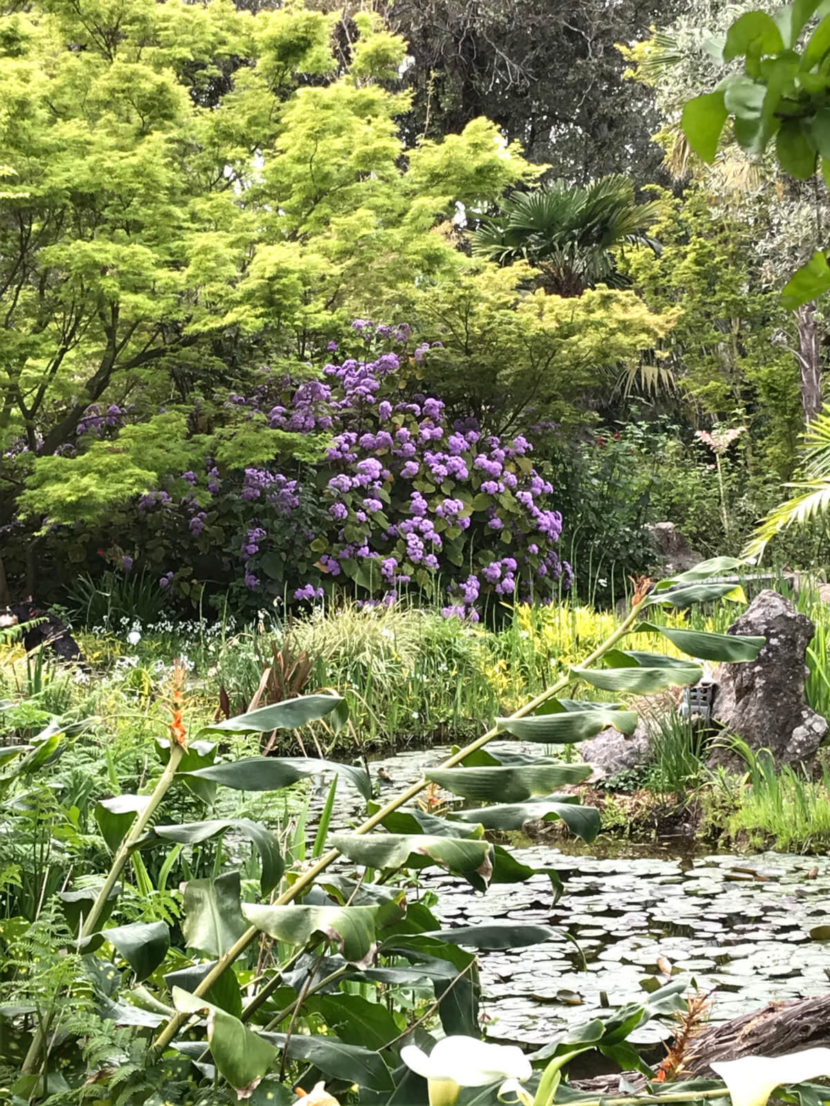 TAKUMI lifestyle - Alessandra Vinciguerra - Giardini La Mortella Ischia - 18