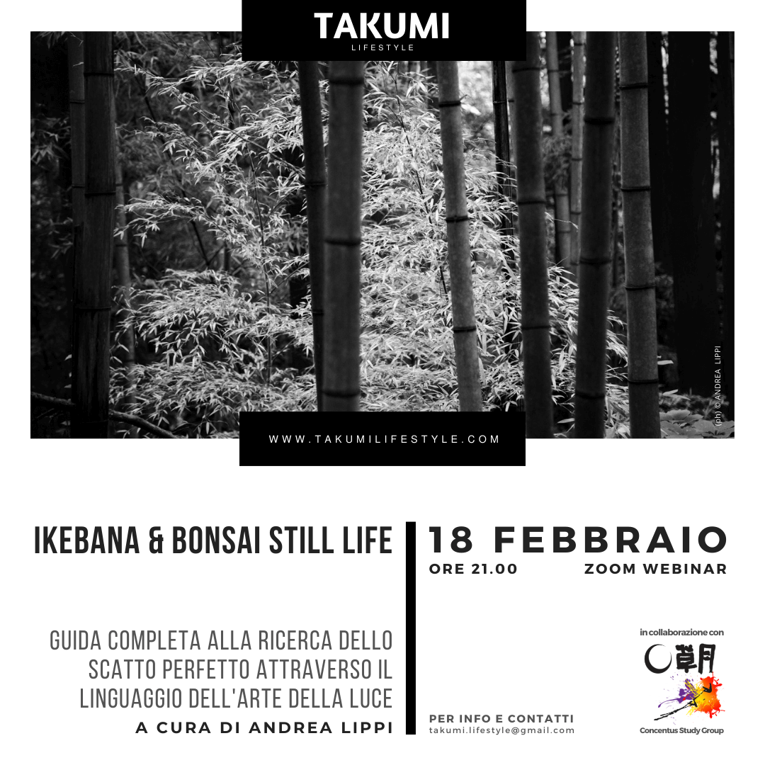 TAKUMI lifestyle - IKEBANA e BONSAI still life - 18 febbraio