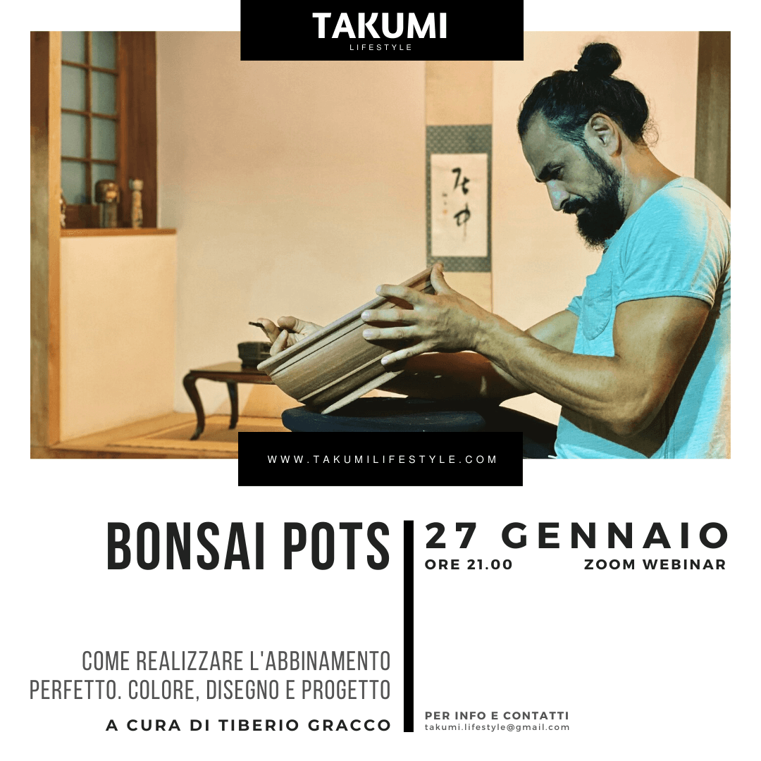 TAKUMI lifestlye - BONSAI POTS