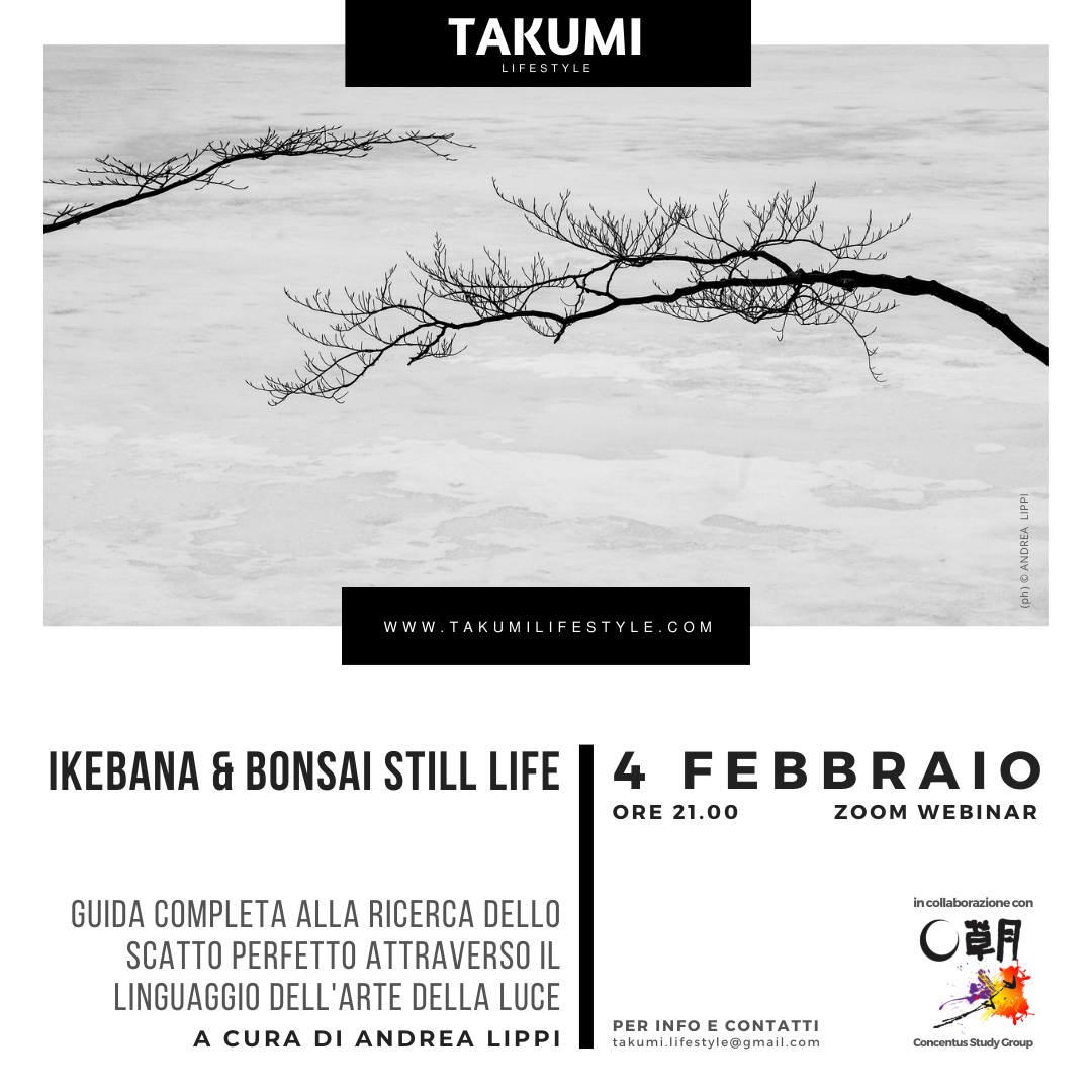 TAKUMI lifestyle - IKEBANA e BONSAI STILL LIFE-4feb