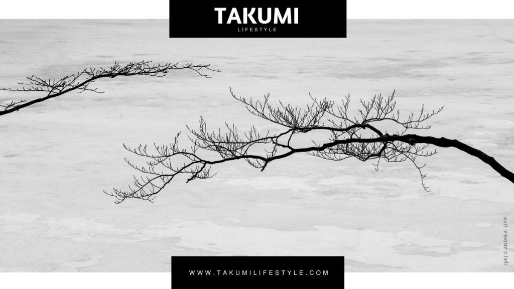 TAKUMI lifestyle - Ikebana&Bonsai still life - cover