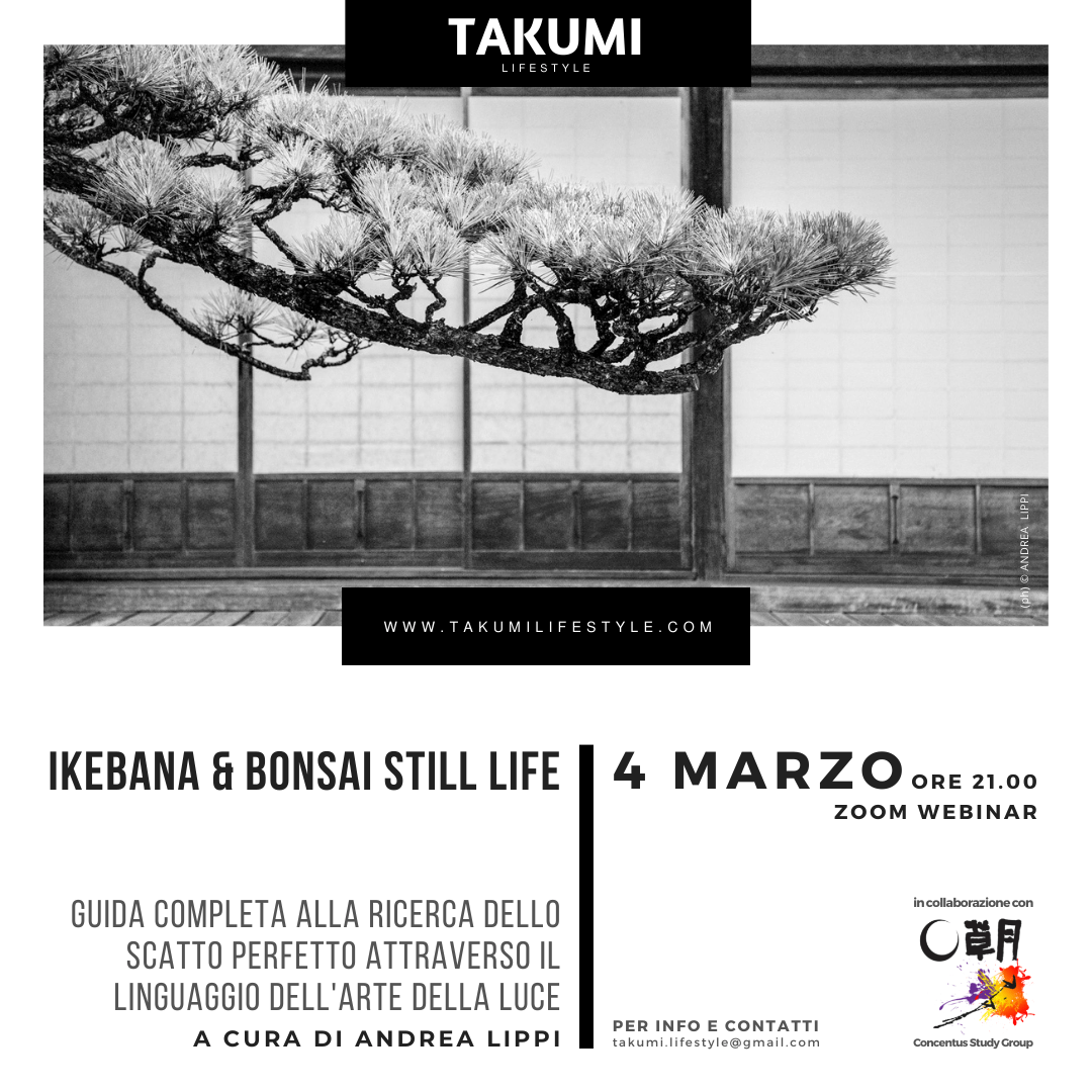 TAKUMI lifestyle - IKEBANA e BONSAI still life - 4 marzo