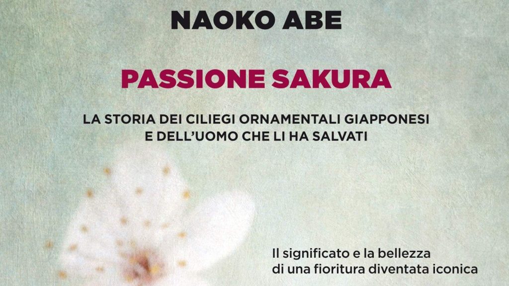 TAKUMI lifestyle - Naoko Abe - Passione sakura - copertina - cover