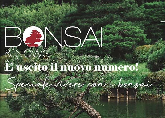 TAKUMI Bonsai&News - sett-ott 2023