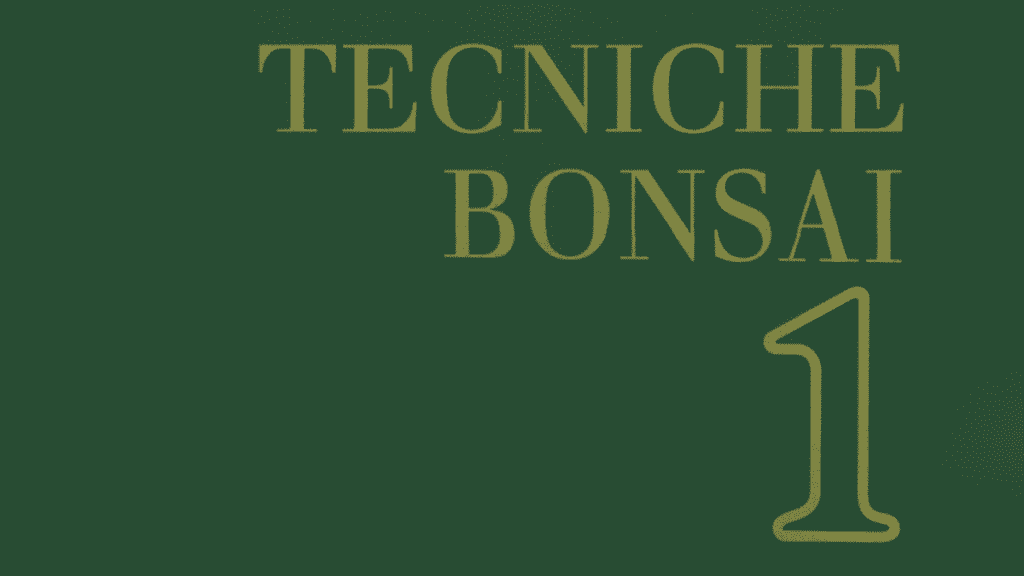TAKUMI - John Yoshio Naka - Tecniche bonsai 1