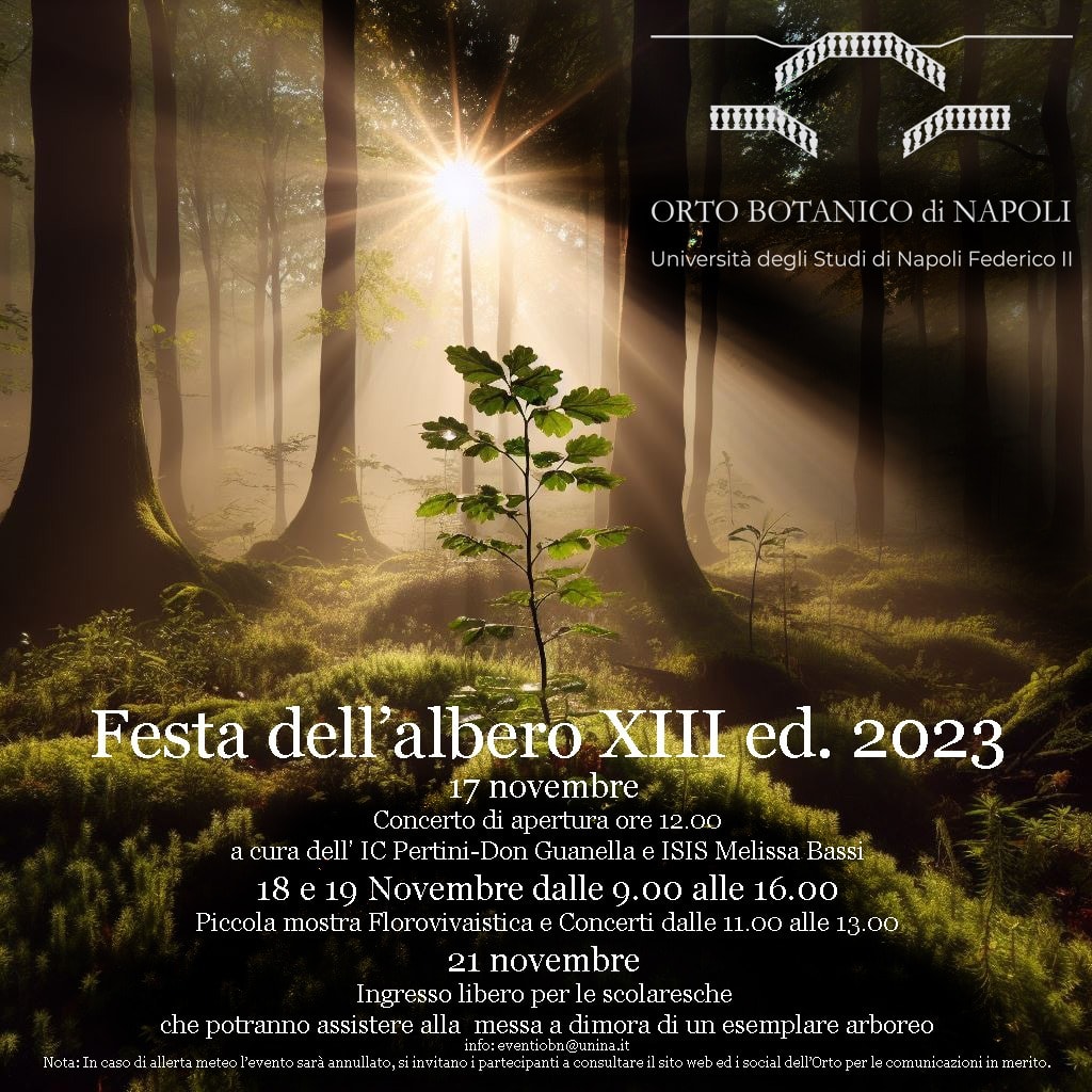 TAKUMI - Festa albero 2023