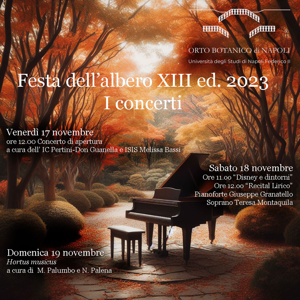 TAKUMI - Festa albero 2023 - Concerti