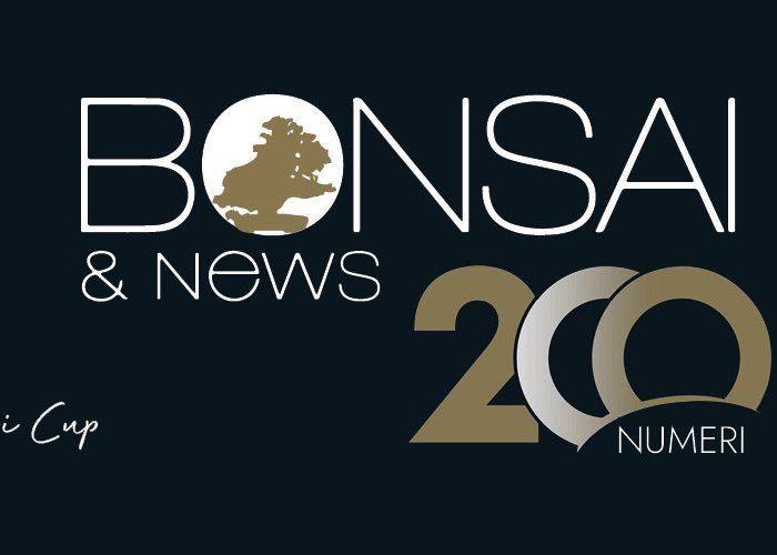 TAKUMI - BONSAI and news 200