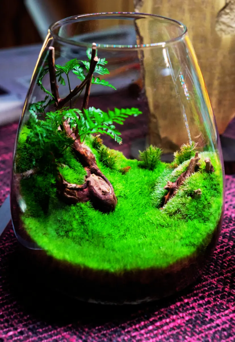 TAKUMI NATURE essence - 9