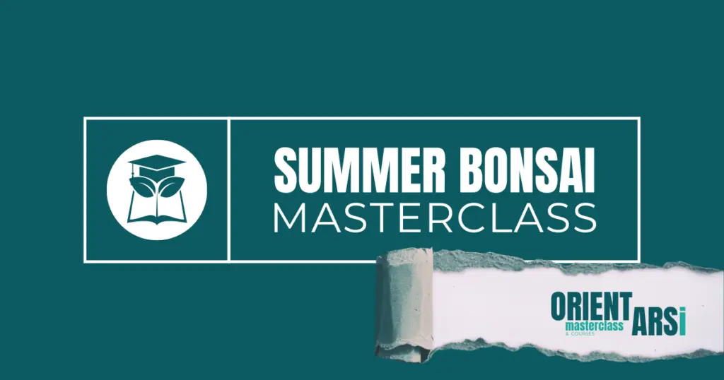 TAKUMI - Summer bonsai masterclass - orientarsi - cover