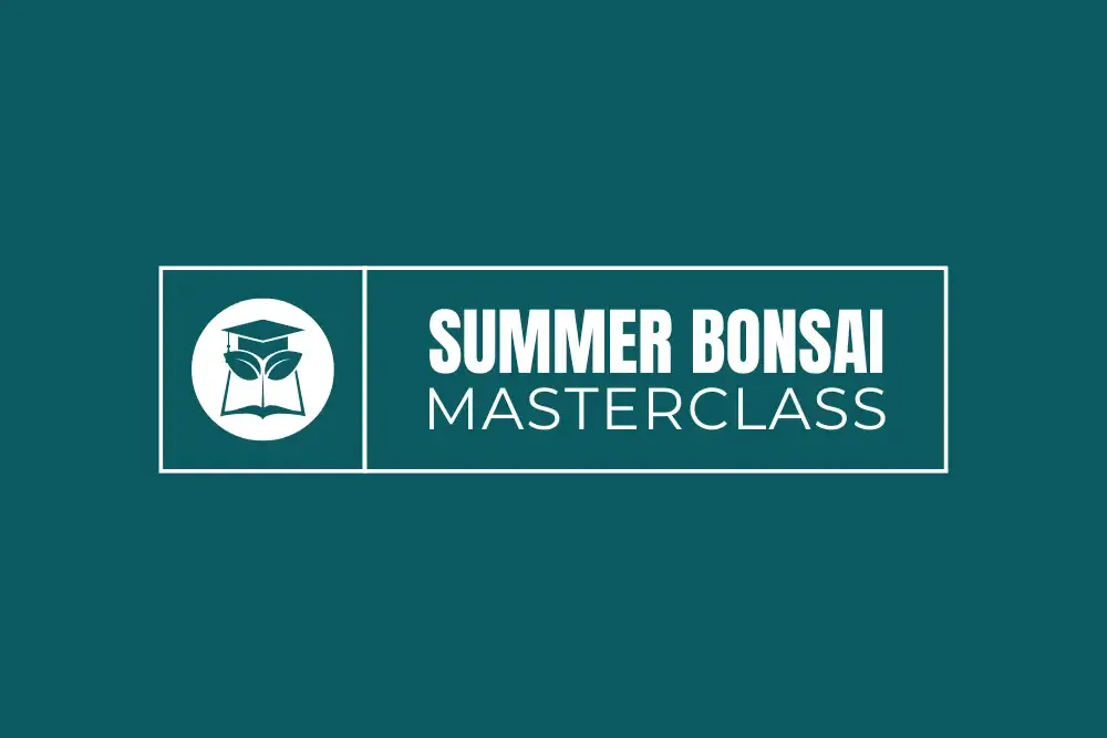cropped-TAKUMI-SUMMER-BONSAI-MASTERCLASS-logo-1.webp TAKUMI - SUMMER BONSAI MASTERCLASS - logo