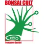 TAKUMI lifestyle - Concentus Study Group - Ikebana Sogetsu TAKUMI lifestyle - Concentus Study Group - Ikebana Sogetsu