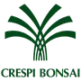 TAKUMI lifestyle - Crespi bonsai TAKUMI lifestyle - Crespi bonsai
