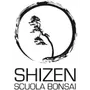 TAKUMI lifestyle - Concentus Study Group - Ikebana Sogetsu TAKUMI lifestyle - Concentus Study Group - Ikebana Sogetsu