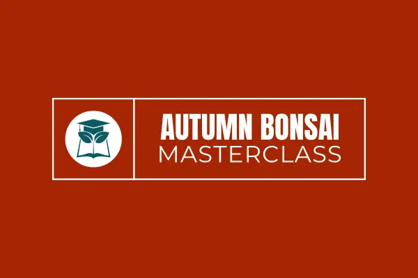 Autumn Bonsai Masterclass