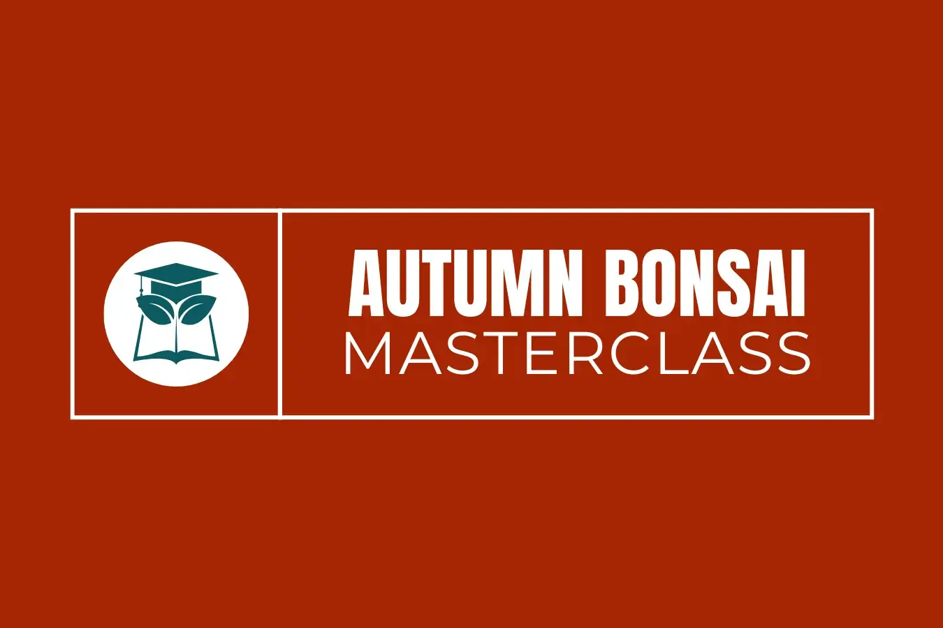 TAKUMI - SUMMER BONSAI MASTERCLASS - logo